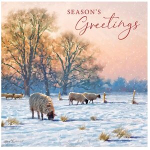 Sheep at Sunset - OTHT Charity Christmas Cards