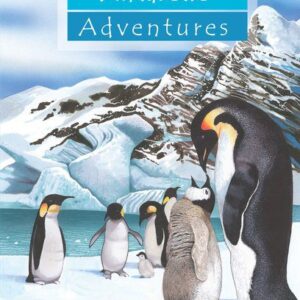 Antarctic Adventures