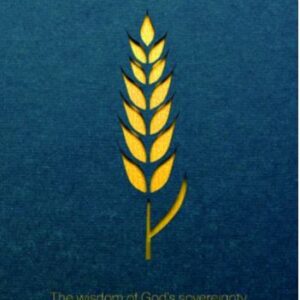 Faithful God - An Exposition of the book of Ruth