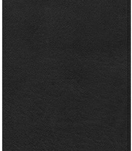 KJV Large Print Compact Reference Bible, Black LeatherTouch