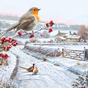 Robin's View - OTHT Charity Christmas Cards