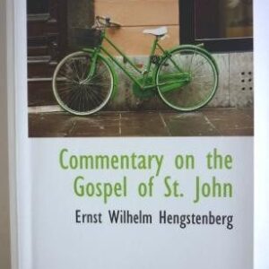 Commentary on the Gospel of John (Vol. 2)