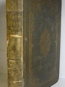 Forty Days in the Desert, on the Track of the Israelites