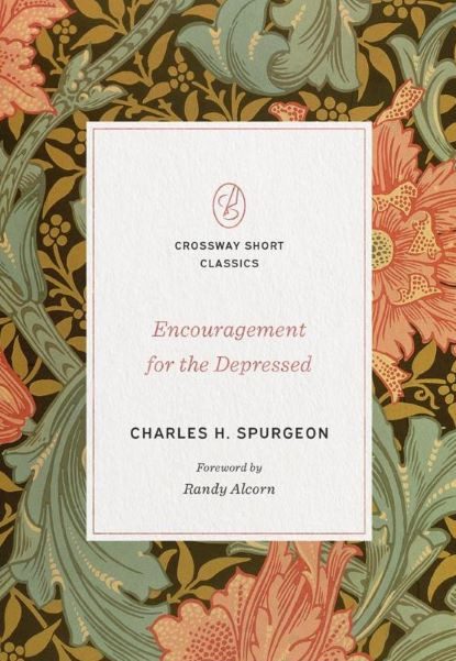 Encouragement for the Depressed
