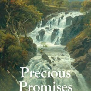 Precious Promises