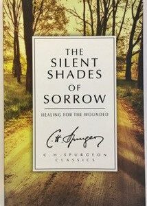 Silent Shades of Sorrow: Healing for the Wounded