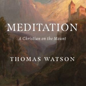 Meditation: A Christian on the Mount