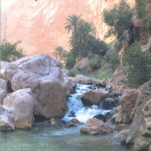 The Brook Besor - Words for those who must tarry at home