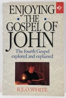 Enjoying the Gospel of John: The Fourth Gospel Explored and Explained