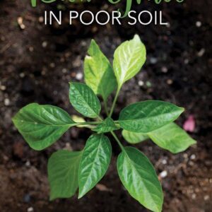 Rich Grace in Poor Soil - Growing in the Master's Grip