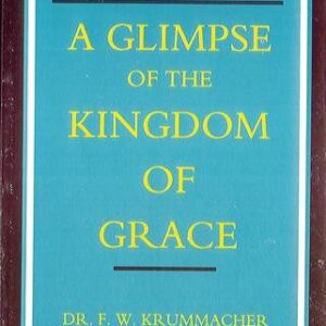 A Glimpse of the Kingdom of Grace