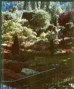 Israel's Hope Encouraged