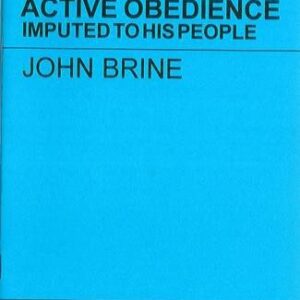 Christ's Active Obedience Imputed to His People