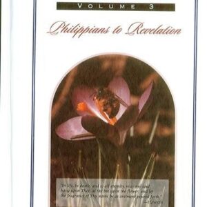 The Poor Man's Commentary (NT, Vol 3)