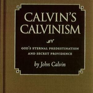 Calvin's Calvinism