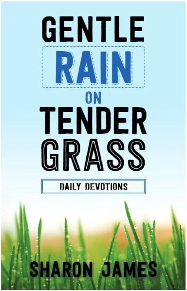 Gentle Rain on Tender Grass