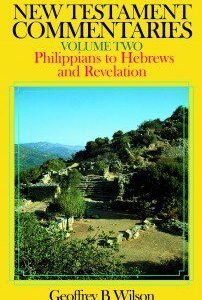 New Testament Commentaries - vol 2