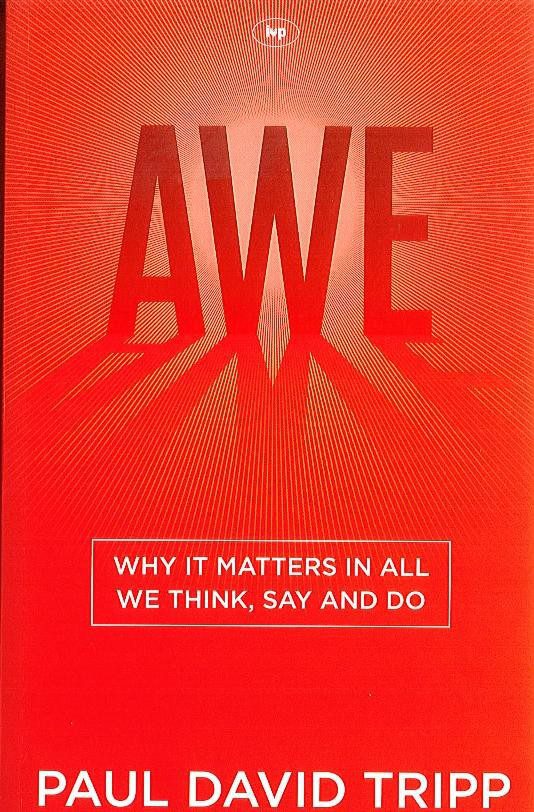 Awe - Why it matters in all we think, say and do