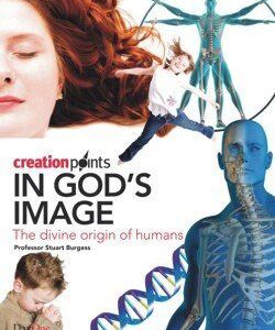 In God's Image