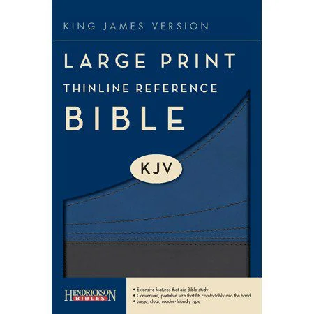 KJV Large Print Thinline Reference Bible, Slate/Blue Flexisoft