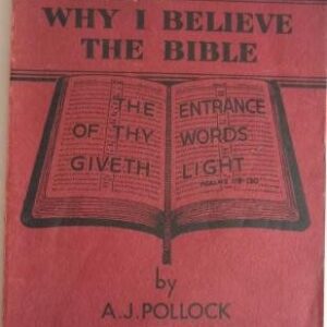 Why I Believe the Bible