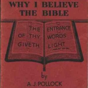 Why I Believe the Bible