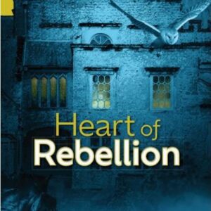 Book cover with a dark nighttime image of a castle, a horse and an owl