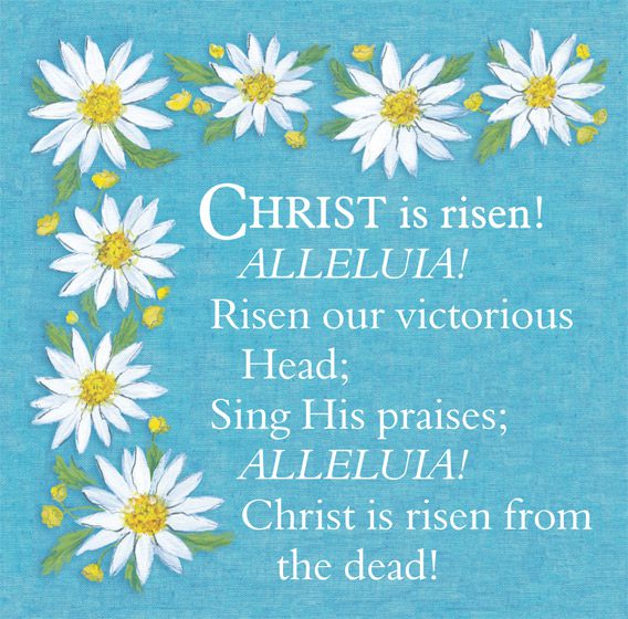 Blue background with watercolour white daisy heads and a hymn verse