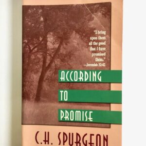 According to Promise