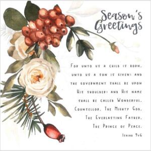 Season's Greetings - Individual Christmas Card