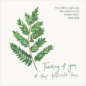 Greetings Card - Thinking of You