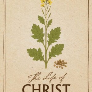 The Life of Christ - The Great Mystery of the Spiritual Life