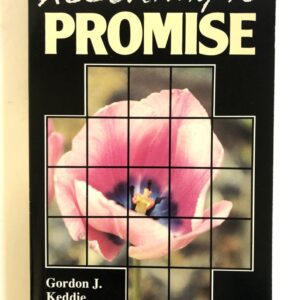 According to Promise - Numbers