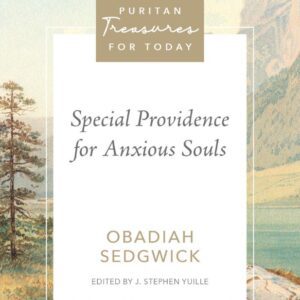 Special Providence for Anxious Souls