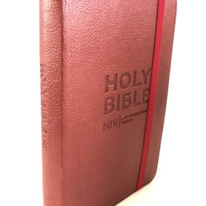 Holy Bible (NIV)
