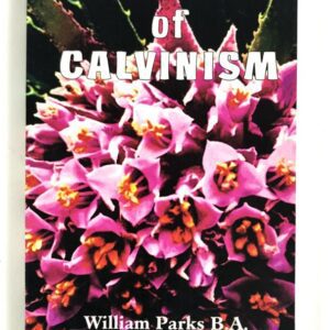 5 Points of Calvinism