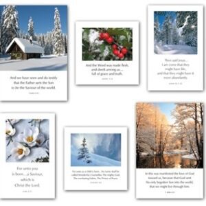 TBS Greetings Cards - Series W - Seasonal