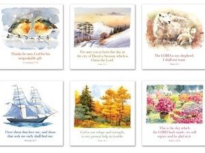 TBS Greetings Cards - Series R