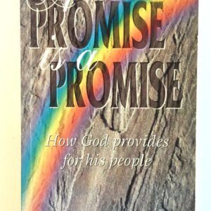 Promise is a Promise