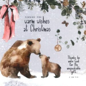 Warmest Wishes - Individual Christmas Card