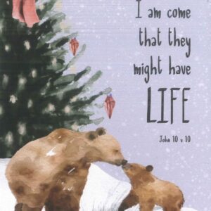 Christmas Postcard - I am come/He did not come to judge