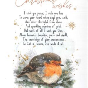 Christmas Postcard - Christmas wishes/In this was manifested